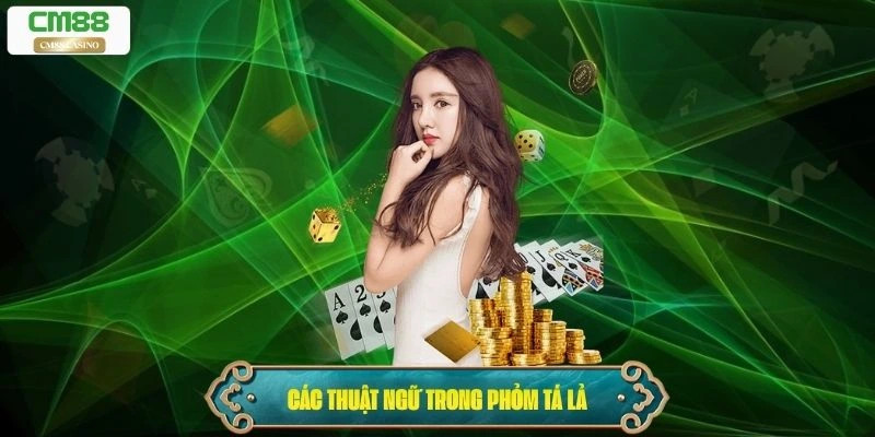 Các thuật ngữ quan trọng trong Phỏm Tá Lả