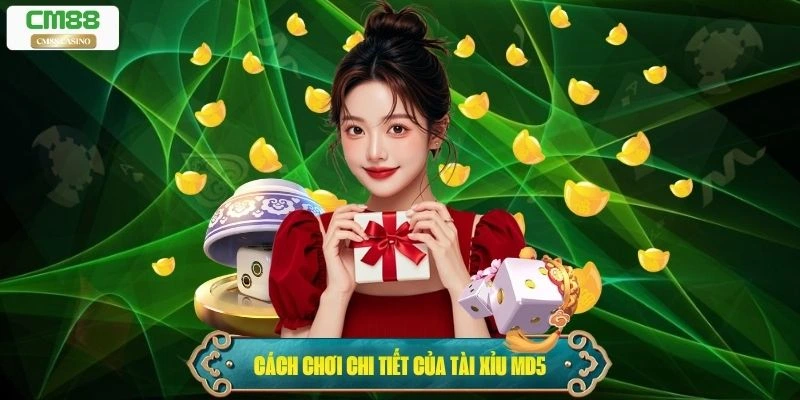 Hướng dẫn toàn diện cách chơi chi tiết của Tài Xỉu MD5