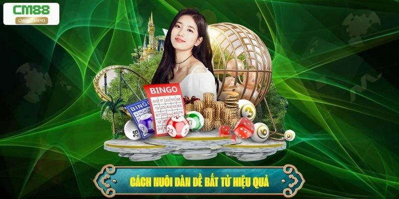 Cách nuôi dàn đề bất tử hiệu quả nhất