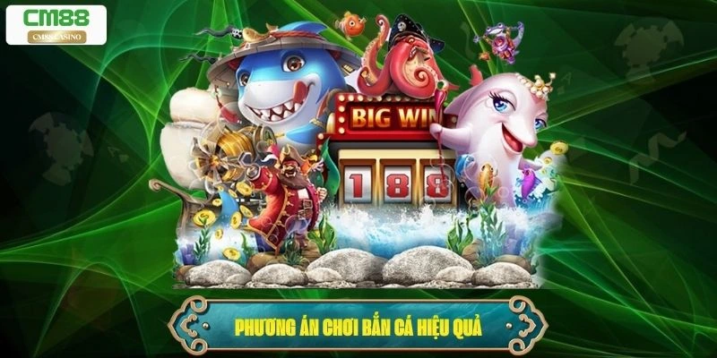 Phương án hợp pháp và an toàn để chơi bắn cá hiệu quả